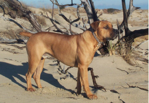 PonoBackBay_040.jpg PonoBackBay_040.jpg